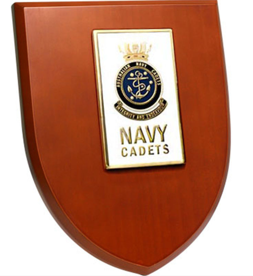 An Exceptional ANC Plaque order now. This beautiful plaque features a 100mm full colour enamel crest set on a 200x160mm timber finish shield. Presented in a stylish silver gift box with form cut insert this is the perfect gift or award for your next presentation.